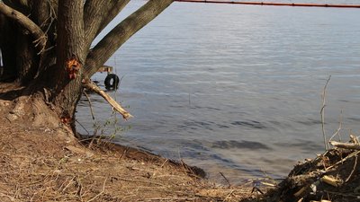 Ладижинське водосховище: ситуація