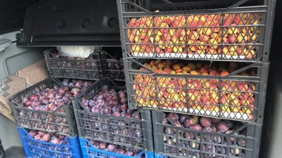 Львівські військові капелани освятять та передадуть захисникам понад 2 тонни фруктів
