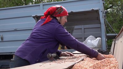 Аграрії Черкащини завершують посівну кампанію