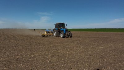 Посівна кампанія на Миколаївщині: зернові посіяли, на черзі соняшник та кукурудза