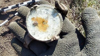 На Житомирщині відшукали останки солдата, який загинув у 1941 році На Житомирщині відшукали останки солдата, який загинув у 1941 році