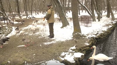100 років тому "Асканія-Нова" отримала статус державного заповідника 100 років тому "Асканія-Нова" отримала статус державного заповідника