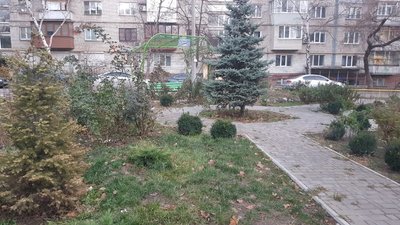 У запорізькому ОСББ із користю утилізують опале листя У запорізькому ОСББ із користю утилізують опале листя