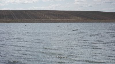 Погода на Рівненщині