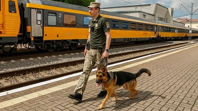історія закарпатського прикордонника Олексія та службового собаки Ларка
