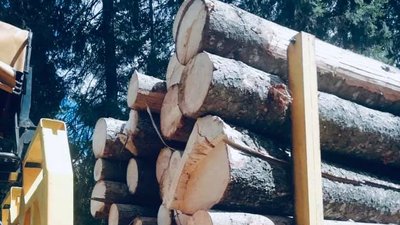 У Ворохті на Прикарпатті затримали вантажівку з нечіпованою деревиною