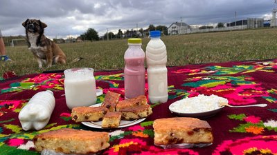 Продукти з козячого молока