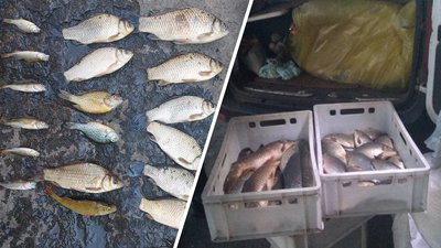 На Черкащині за добу зафіксували три випадки незаконного вилову риби