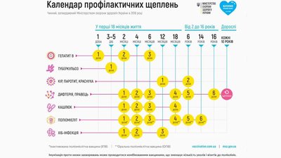 Як війна впливає на поширення інфекційних хвороб — пояснює епідеміологиня Як війна впливає на поширення інфекційних хвороб — пояснює епідеміологиня