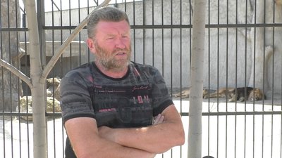 На Запоріжжі трьох левів та шістьох ведмедів віддають у добрі руки
