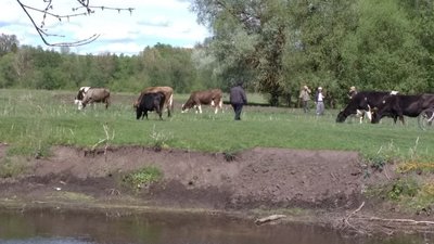 Жителі села Синівка на Сумщині протестують проти розорювання пасовищ Жителі села Синівка на Сумщині протестують проти розорювання пасовищ