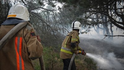 Вогнеборці врятували чоловіка у пожежі на Миколаївщині