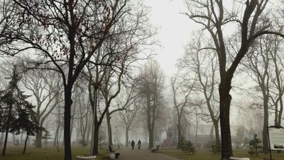 У Черкасах 15 лютого прогнозують туман та дощ