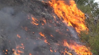 У Інгульському районі Миколаєва горіли трава та сміття У Інгульському районі Миколаєва горіли трава та сміття