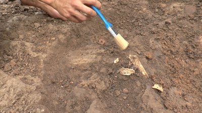 Археологічна школа: на Полтавщині ведуть розкопки студенти та дослідники з академії наук Археологічна школа: на Полтавщині ведуть розкопки студенти та дослідники з академії наук