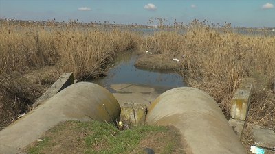 Як вода зі зливових стоків впливає на екологічний стан річок у Миколаєві