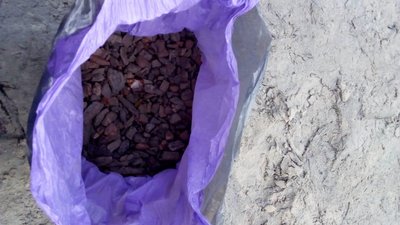 Зброю, мотопомпи та готівку вилучили під час обшуків на Рівненщині