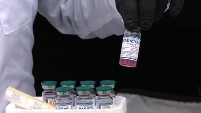 Вакцина проти сказу безкоштовна Вакцина проти сказу безкоштовна