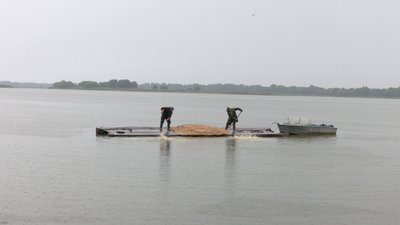 Риборозплідник у Ірклієві