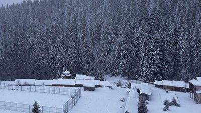 Урочище Заросляк, Франківщина, 31 грудня 2025 року