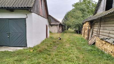 ковель наслідки атаки ковель наслідки атаки