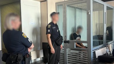 Вбивство 15-річної, 19-річний, ізмаїльський район, Аліна Урсу