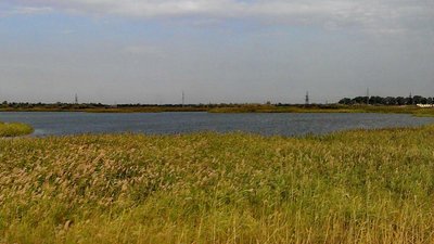 На Херсонщині викрали голову Бехтерської громади Михайла Бурака