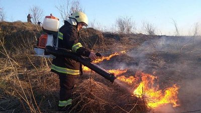 Поліцейські на Тернопільщині спіймали палія сухої трави Поліцейські на Тернопільщині спіймали палія сухої трави
