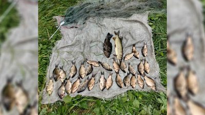 Виловив під час нересту на Чернігівщині на 49 тисяч гривень 28 карасів, щуку і лина