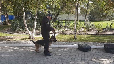 Поповнення на службі митниці Херсонщини: як працює бельгійська вівчарка Хазар