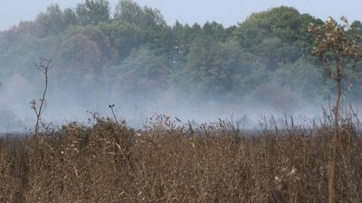 На Полтавщині рятувальники третю добу гасять пожежу торфовища