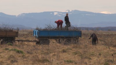 В Івано-Франківській громаді планують засіяти сільськогосподарськими культурами 160 га землі В Івано-Франківській громаді планують засіяти сільськогосподарськими культурами 160 га землі