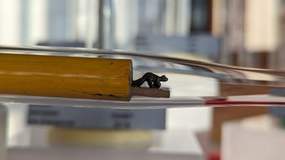 На Рівненщині відбудеться виставка мініскульптур на грифелі олівця. Що каже митець