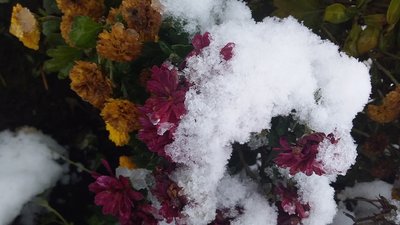 Перший сніг на Сумщині: фоторепортаж