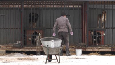 На Франківщині планують добудувати вольєри в "Домі Сірка" На Франківщині планують добудувати вольєри в "Домі Сірка"
