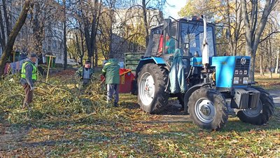 Наслідки негоди у Житомирі: працівники "Зеленбуду" прибирають повалені дерева Наслідки негоди у Житомирі: працівники "Зеленбуду" прибирають повалені дерева