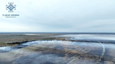 На території заповідник на Одещині сталася пожежа На території заповідник на Одещині сталася пожежа