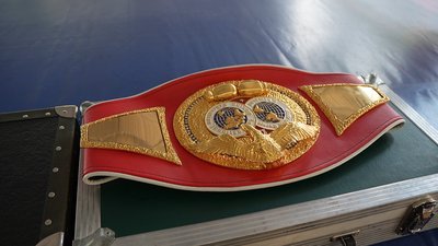 У Вінниці стартував відкритий турнір з боксу серед дітей та юнаків У Вінниці стартував відкритий турнір з боксу серед дітей та юнаків