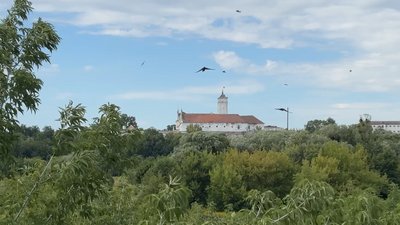 Бернардинський монастир у Ізяславі