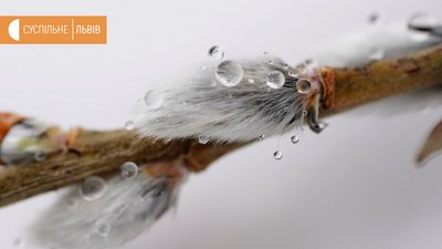 Вербна неділя у Львові та області: чи дотримуються карантину?