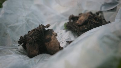Черга на прощання: проєкт На щиті Черга на прощання: проєкт На щиті