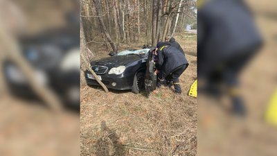 Батьки загинули, 10-річна дівчинка самотужки вибралася: подробиці падіння дерева на авто з людьми на Чернігівщині Батьки загинули, 10-річна дівчинка самотужки вибралася: подробиці падіння дерева на авто з людьми на Чернігівщині