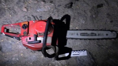 Вирубували лісосмугу на Черкащині Вирубували лісосмугу на Черкащині