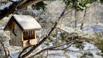 У Запоріжжі прогнозують температура повітря 13-18° морозу