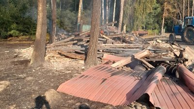 Наслідки ударів по лісовому господарству