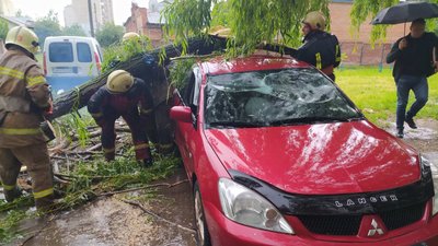 Негода у Сумах: дощ, шквали вітру та повалені дерева (фото)