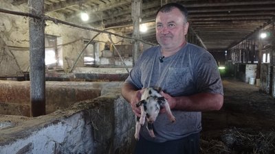 "Будемо годувати свою армію": родина фермерів з Харківщини вирощує овочі для військових та збирає гроші на дрони