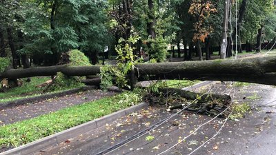 Підтоплені будинки, повалені дерева. Рятувальники ліквідовують наслідки негоди на Прикарпатті Підтоплені будинки, повалені дерева. Рятувальники ліквідовують наслідки негоди на Прикарпатті