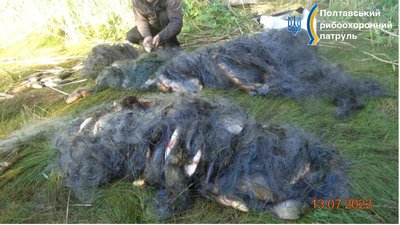 На Полтавщині вилучили незаконний вилов на понад пів мільйона гривень На Полтавщині вилучили незаконний вилов на понад пів мільйона гривень