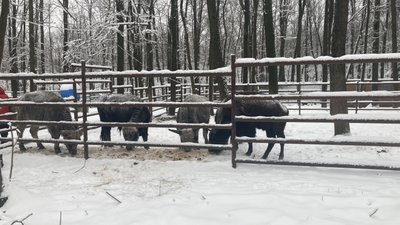 екопарк харків